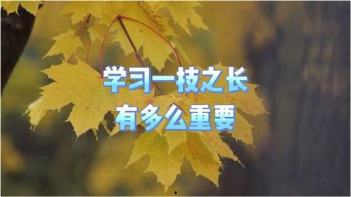 拥有一技之长，五十岁重绽光芒