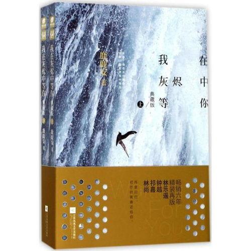 在灰烬中等你,逆境中的希望与重生