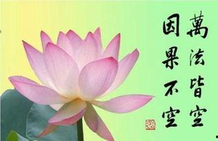 因果报应,善恶有报，命运轮回的必然法则