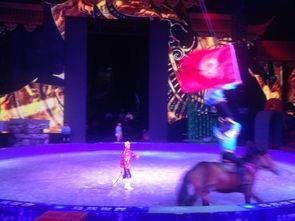 马戏之家,揭秘奇幻世界的幕后传奇